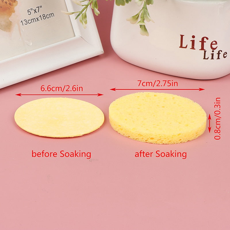 10PCS Face Cleaning Sponge